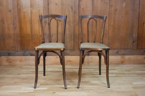 Louis Philippe Chair in Mahogany and Brown Velvet, 1800s for sale at Pamono