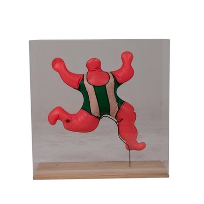 Niki de Saint Phalle, Nana, 1996, Silkscreen for sale at Pamono