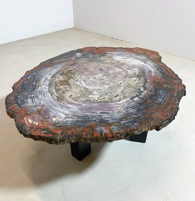 Petrified Wood Coffee Table Belgium 1970s for sale at Pamono