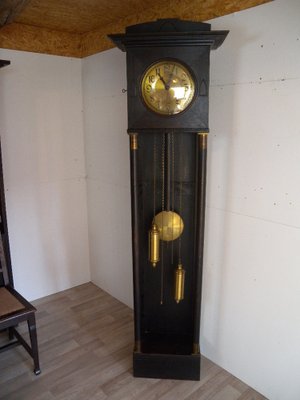 Art Nouveau Grandfather Floor Clock, 1900s for sale at Pamono