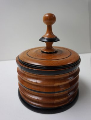 Napoleon III Biedermeier Tobacco Canister Jar Humidor, 1850s for sale at  Pamono