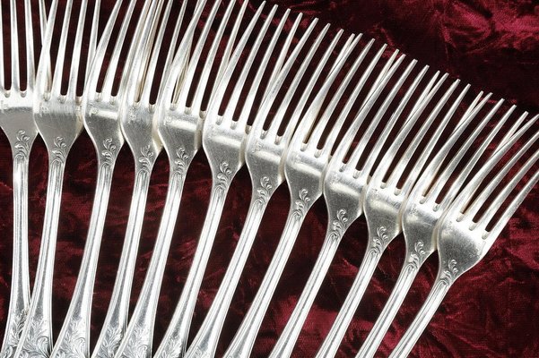 Louis XV Silver-Plated Flatware, 1900s, Set of 51 for sale at Pamono