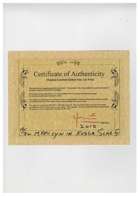 Bert Stern Fotografie Portfolio 49(洋書) Bert Stern Photographs available - The Last Sitting – ARTETRAMA