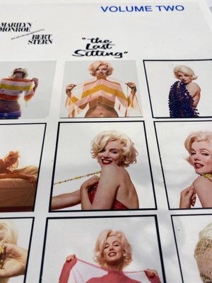 【正規通販】 Photograph 2009, Sitting, Last The Stern, Bert for at sale 洋書