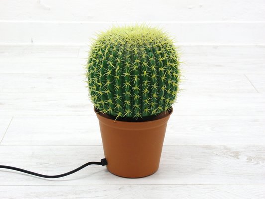 Cactus on desk deals
