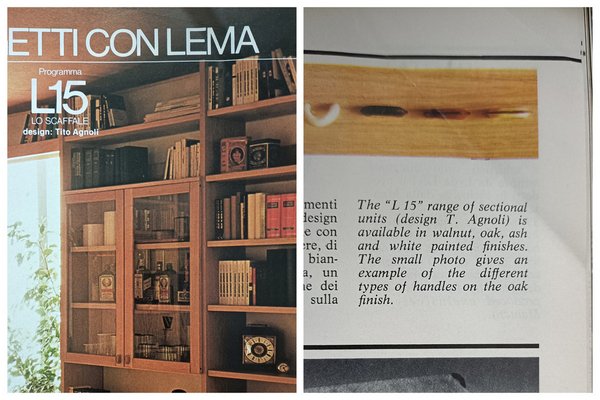 Vintage Modular Lema Bookcase by Tito Agnoli, 1978 for sale at Pamono