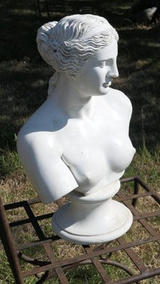Busto vintage de escayola de Venus de Milo, 1920 en venta en Pamono