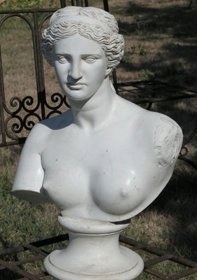 Busto vintage de escayola de Venus de Milo, 1920 en venta en Pamono