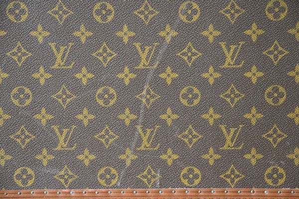 Louis Vuitton fabric - An overview