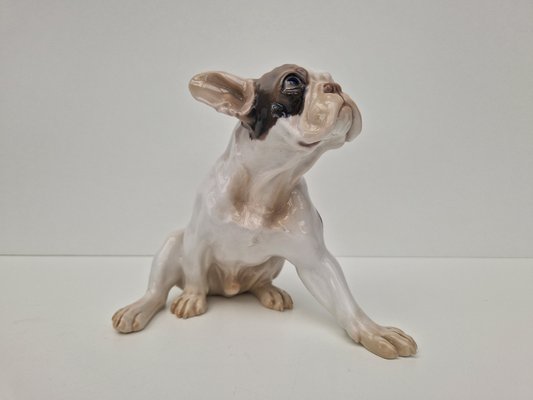 Statuetta Bulldog nr. 2000 di Dahl Jensen per Bing & Grøndahl