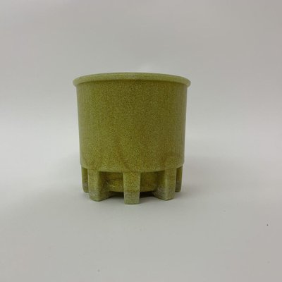 彩音 PSY-ON ORIGINAL CAUDEX POT Artemisia schmidtiana and Zenpukuji pot. A mysterious world