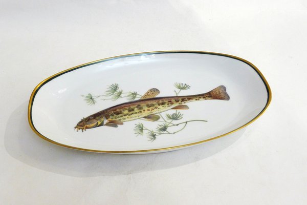 Fish Illustrated Service Dish in Porcelain from Arzberg, 1960s for