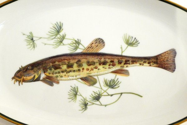 食器 Gustavsberg Fish plate  all color Ballo Iitala candle holder | Atelier Tilia