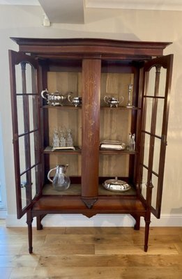 Mahogany 2024 display cabinet