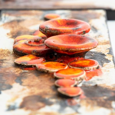 Fat Lava Wall Plaques from Ruscha Keramik, 1970s, Set of 3 for