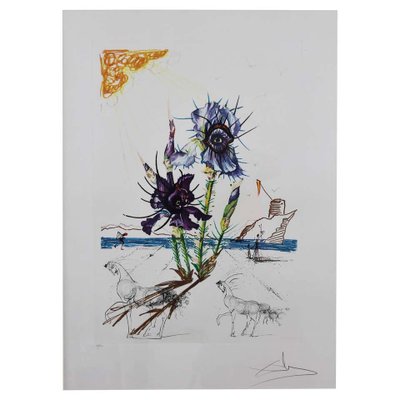 Salvador Dali, Iris Dali's Youth, 20th Century, Signed Lithograph