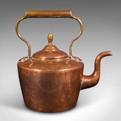 Antique English Fireside Kettle in Copper 1880 for sale at Pamono