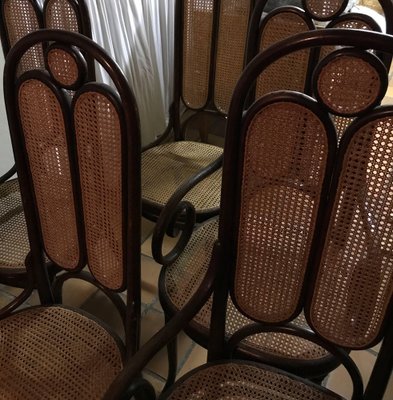 Nr 16 4 2 Christal Palace in Caning Chairs by Michael Thonet for Thonet 1870s Set of 6 for sale at Pamono