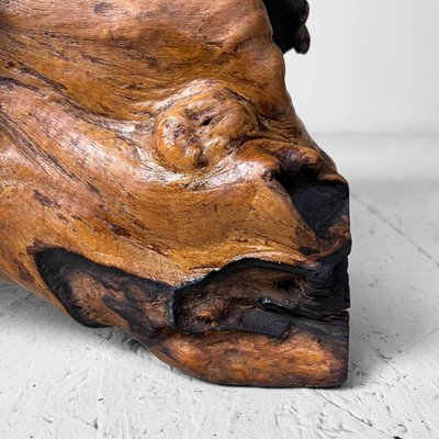 Wood Burl Wood, Japan, 1950s for sale at Pamono