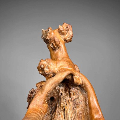 Meiji Era Japanese Sculpted Burl Root Wood for sale at Pamono