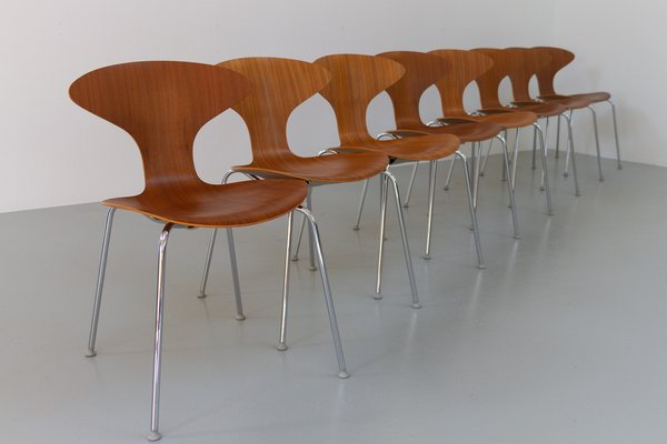 Orbit Dining Chairs in Walnut by Ross Lovegrove for Bernhardt