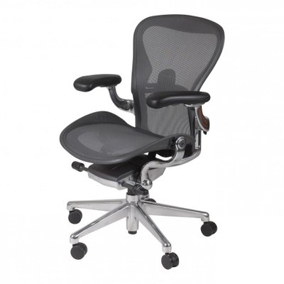Aeron Office Chair by Donald Chadwick for Herman Miller for sale