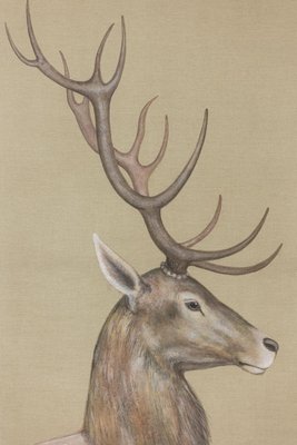 Ciervo de Ensueño (Pintura por Números)