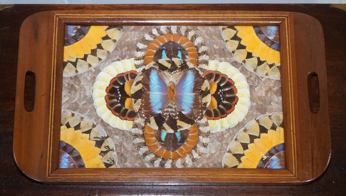 Butterfly top wing plate