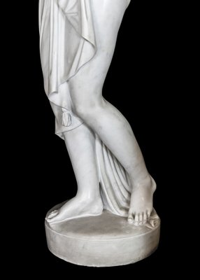 https://cdn20.pamono.com/p/g/1/6/1619305_qhor1e4amp/after-antonio-canova-venus-italica-1890s-carrara-marble-sculpture-14.jpg
