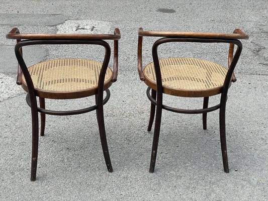 Thonet ligna sale