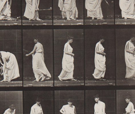 Eadweard Muybridge, Animal Locomotion: Plate 299, 1887