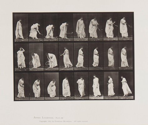 アート・デザイン・音楽 781 Plates from 1887 Animal Locomotion 2 Eadweard Muybridge, Animal Locomotion: Plate 299, 1887