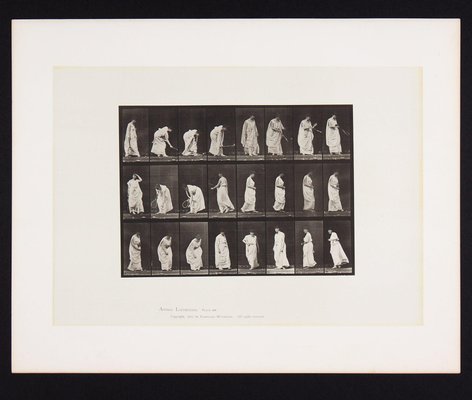 アート・デザイン・音楽 781 Plates from 1887 Animal Locomotion 2 Eadweard Muybridge, Animal Locomotion: Plate 299, 1887