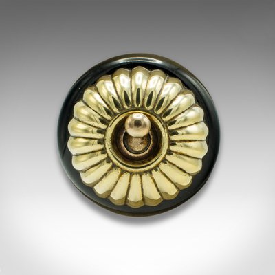Antique English Light Switch in Brass, 1920 for sale at Pamono