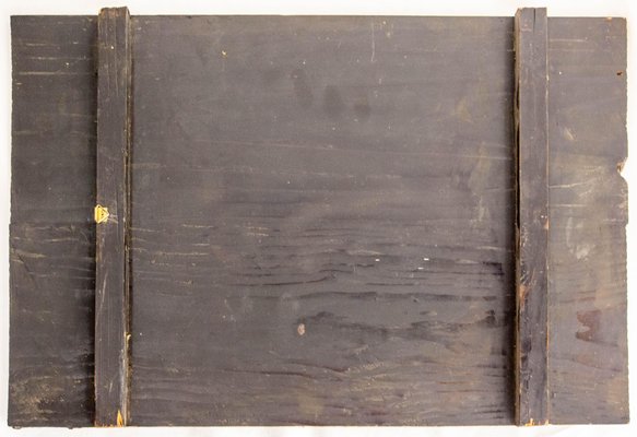 Japanese Painted and Lacquered Wood Panels for sale at Pamono