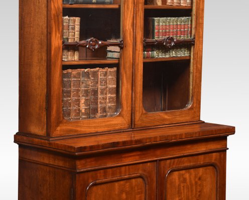 Narrow Mahogany 2 Door Bookcase for sale at Pamono