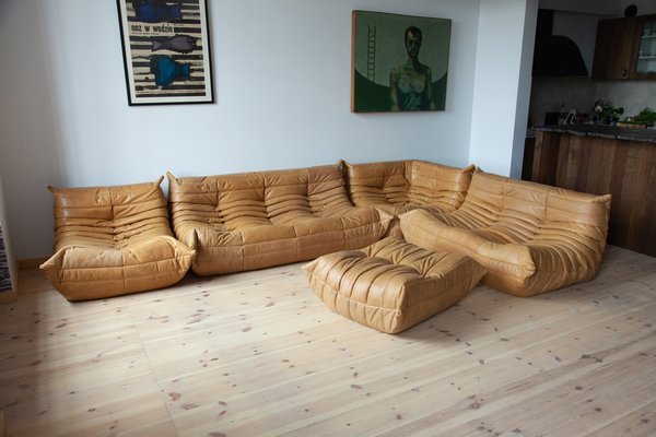 Togo Modular Sofa in Brown Leather by Michel Ducaroy for Ligne Roset,  1980s, Set of 5