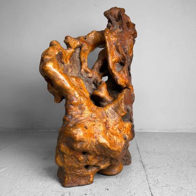 Wabi Sabi Burl Wood Decoration, Japan, 1950s for sale at Pamono