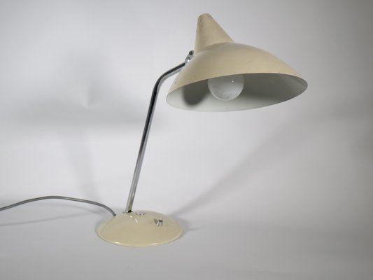 Neck Lamp