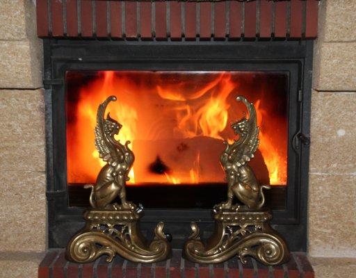 Gold Bronze Griffins Fireplace Andirons, 1930s, Set of 2 for sale at Pamono