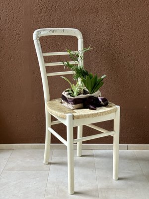 Furniture Sedie Bistrot Amazon Mid-Century Chairs In Straw And