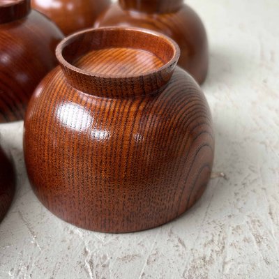 Lacquerware Rice Bowls from Aizu, Japan, 1950s, Set of 5 for sale