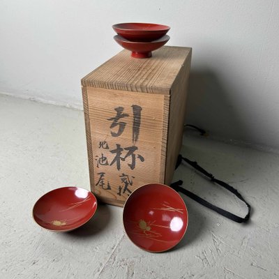 Sakazuki Sake Cups, Japan, 1920s, Set of 18 for sale at Pamono