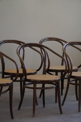 Mid-Century Vienna Chairs in Beech Cane by ZPM Radomsko for