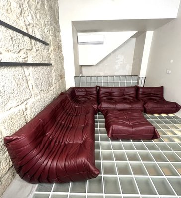Togo Sofa in Cognac Leather by Michel Ducaroy for Ligne Roset, 1980s, Set  of 5 for sale at Pamono