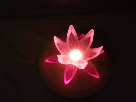 Pink Acrylic Water Lily Night Light Lamp, Eastern Europe, 1972 for