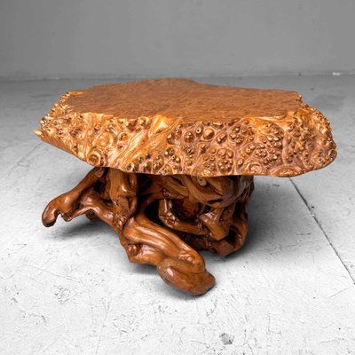 Mid-Century Yakusugi (Yakusugi) Burl Wood Plant Stand, Japan