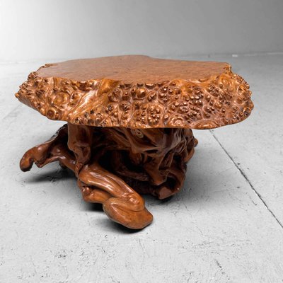 Mid-Century Yakusugi (Yakusugi) Burl Wood Plant Stand, Japan