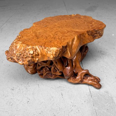 Mid-Century Yakusugi (Yakusugi) Burl Wood Plant Stand, Japan