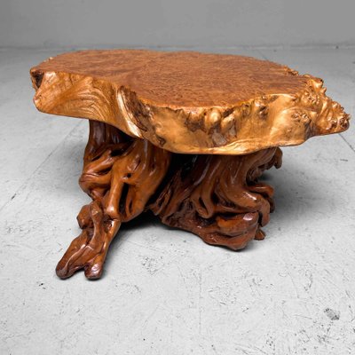 Mid-Century Yakusugi (Yakusugi) Burl Wood Plant Stand, Japan